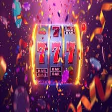 nbk33